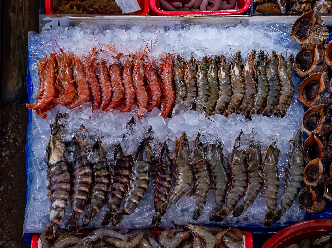 Seafood